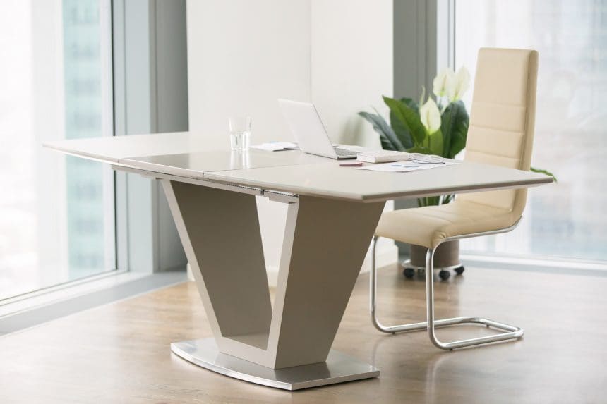 What Can a Project Manager Do For Me? What Can a Project Manager Do For Me?